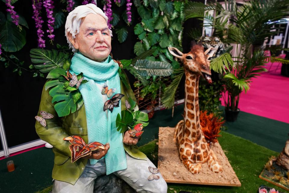 A life-sized Sir David Attenborough cake. (PA)