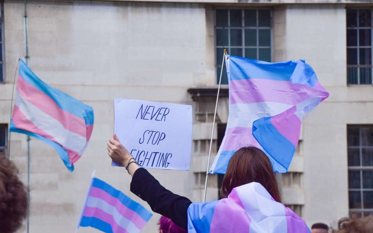 A protester wrapped in a Trans Pride flag holds a 'Never Stop Fighting' placard