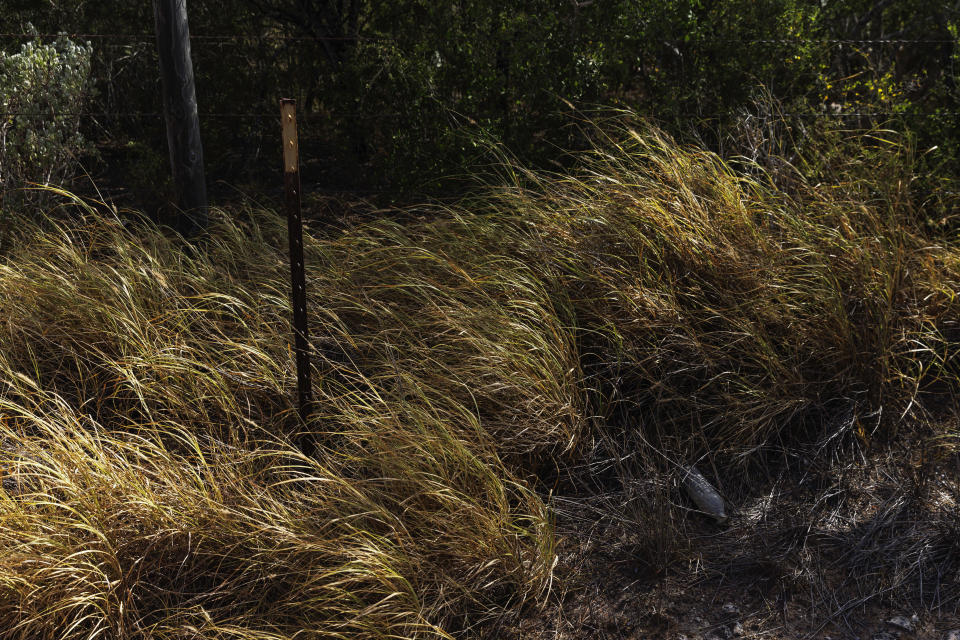 The location of a missing water station for immigrants containing sealed jugs of fresh water sits along a fence line near a roadway in rural Jim Hogg County, Texas, Tuesday, July 25, 2023. The South Texas Human Rights Center maintains over 100 blue barrels consistently stocked with water across rural South Texas to serve as a life-saving measure for immigrants who have crossed into the United States to travel north in the sweltering heat. (AP Photo/Michael Gonzalez)