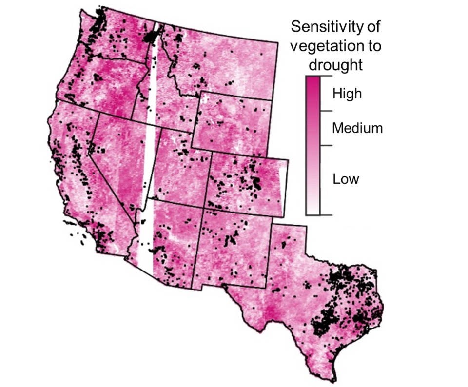 A map of vegetation sensitivity to droughts (pink) and the expansion of the wildland-urban interface between 1990 to 2010 (black) in Western states shows high-risk areas. The white streak is caused by missing satellite data. Krishna Rao, <a href="http://creativecommons.org/licenses/by-nd/4.0/" rel="nofollow noopener" target="_blank" data-ylk="slk:CC BY-ND;elm:context_link;itc:0;sec:content-canvas" class="link ">CC BY-ND</a>
