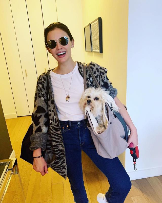 Selena Gomez Hits the Gym, Then Spends the Day With Her New Dog!: Photo  1111143, Celebrity Pets, Selena Gomez Pictures