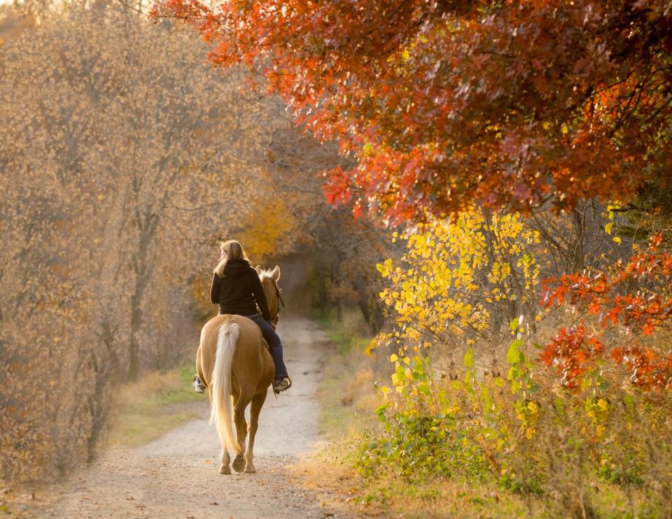 Go Horseback Riding