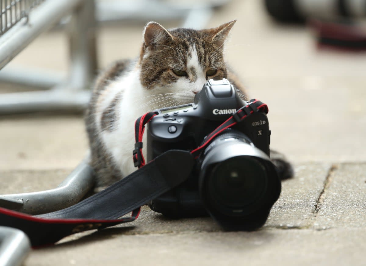 Larry behind the camera  (PA)