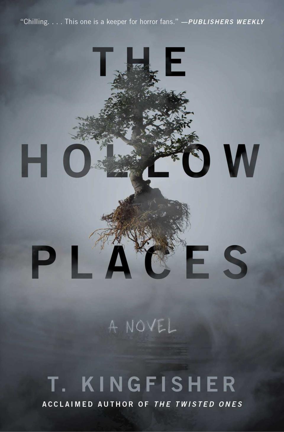 The Hollow Places book cover