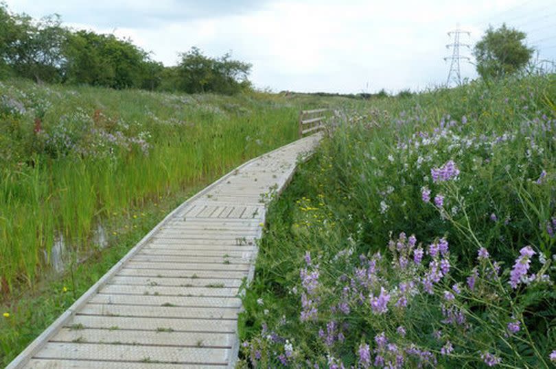 Wat Tyler park has a number of interesting trails, including an open-air gallery