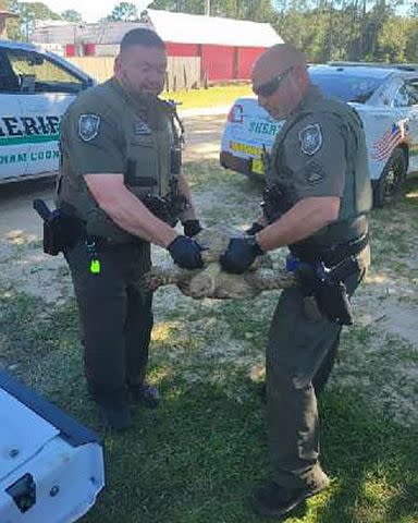 <p>Putnam County Sheriff's Office</p> Florida police officers with a tortoise who went missing in 2020.