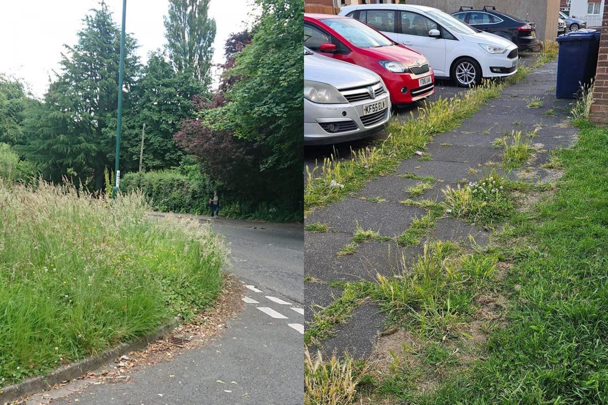 A grass verge, left, recently pictured in Guisborough, and, right, an overgrown path in Kirkleatham, Redcar