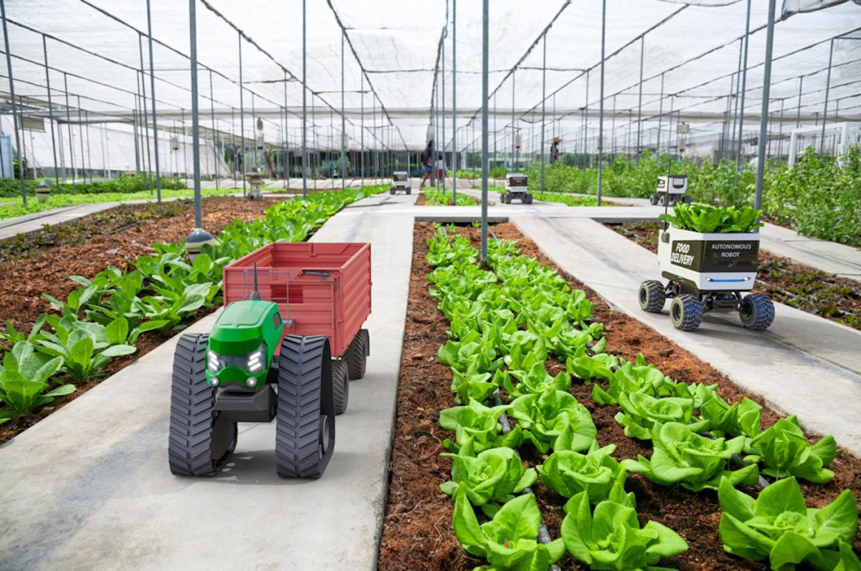 <a href="https://www.shutterstock.com/es/image-photo/autonomous-driverless-small-tractor-working-vegetable-2007967094" rel="nofollow noopener" target="_blank" data-ylk="slk:Shutterstock / Suwin;elm:context_link;itc:0;sec:content-canvas" class="link ">Shutterstock / Suwin</a>