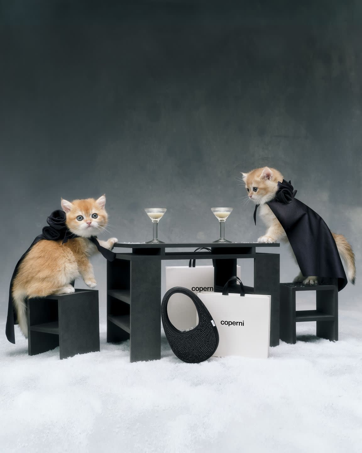 coperni cat campaign