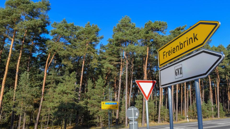 In diesem Waldgebiet plant Tesla den Bau einer Gigafactory.