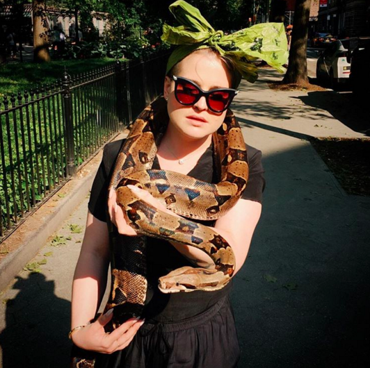 <p>A typical day in NYC! “Oh ya know… Just walking down the street in NYC & yet another [snake emoji] found me!!!!!” <i>(Photo: <a href="https://www.instagram.com/p/BF2GRdqgb4n/" rel="nofollow noopener" target="_blank" data-ylk="slk:Instagram;elm:context_link;itc:0;sec:content-canvas" class="link ">Instagram</a>)</i></p>