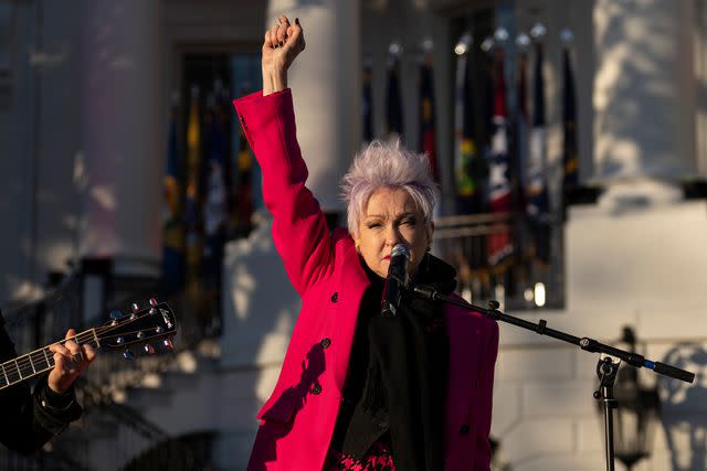 <p>Drew Angerer/Getty Images</p> Cyndi Lauper