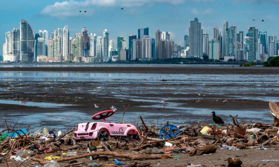 A double-crested cormorant sits amongst plastic waste at the beach of the Costa del Este neighborhood in Panama City.