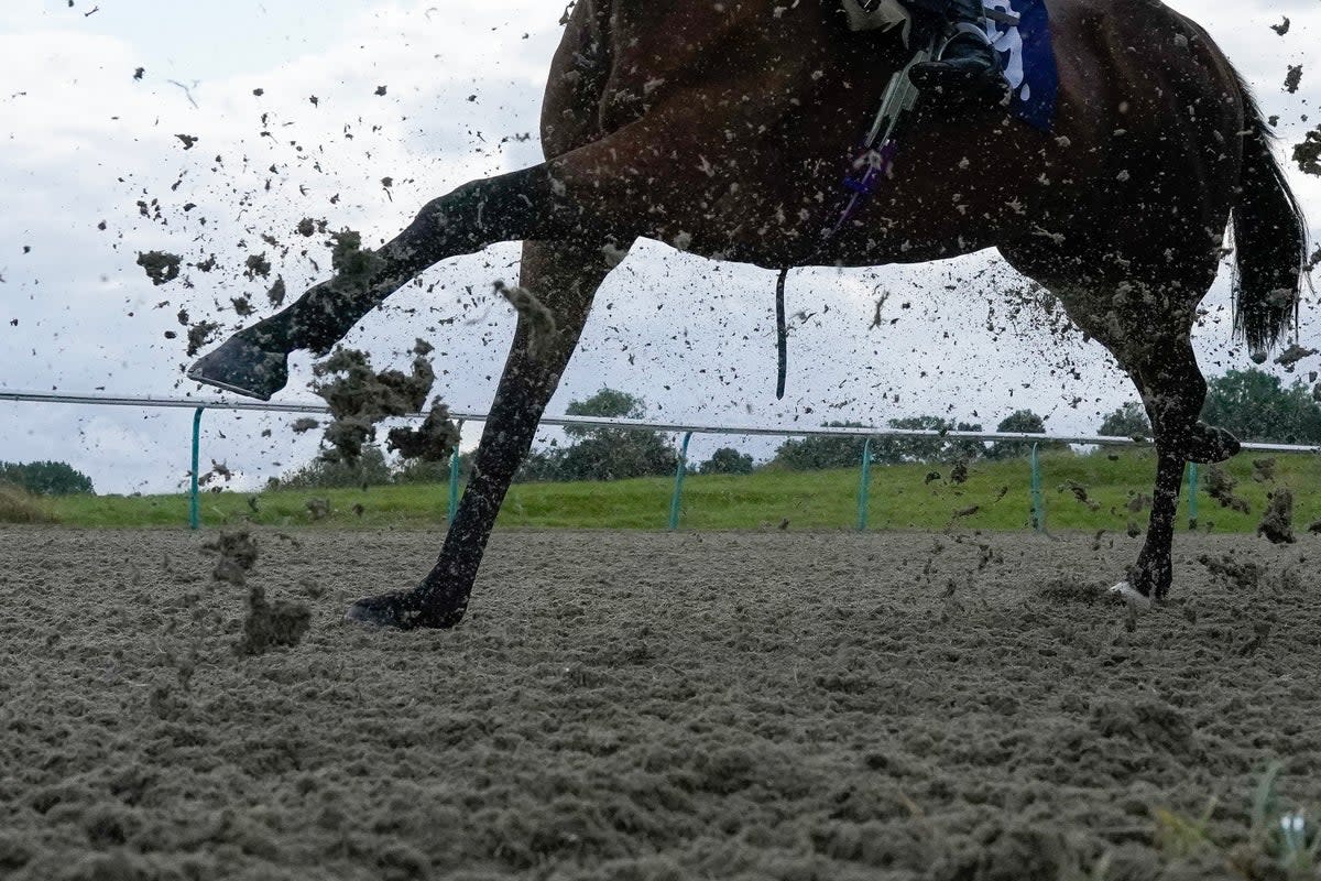 The All-Weather action will take centre stage at Lingfield on Friday afternoon (Getty Images)