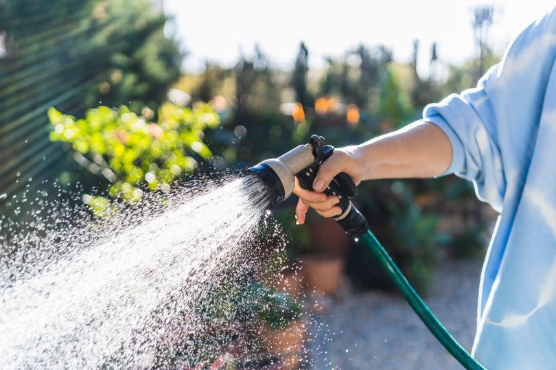 Hose being sprayed on plants