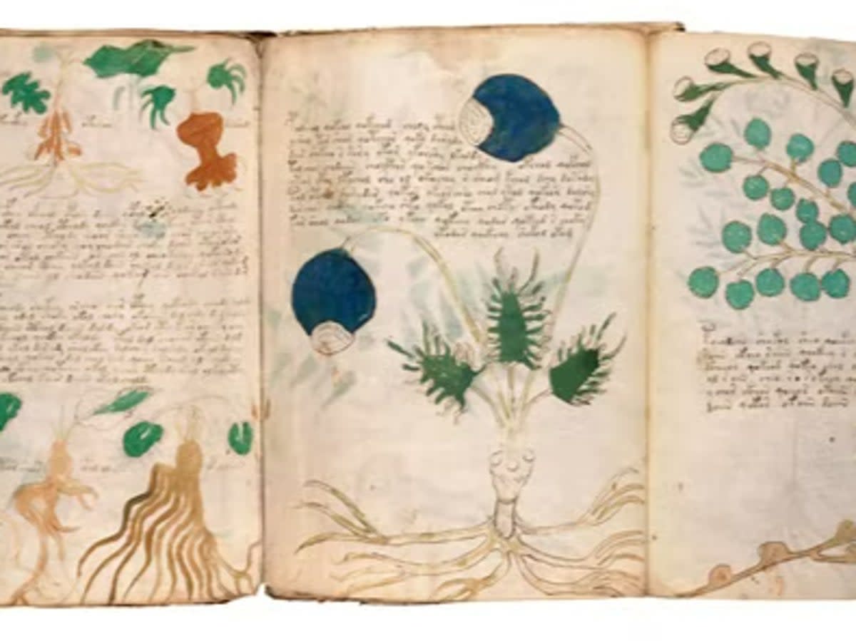 The Voynich manuscript (Alamy Stock Photo)