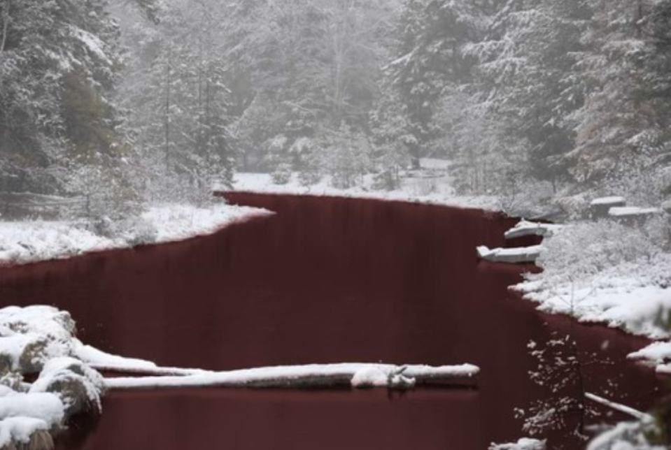 Water Iskitimka River is a deep red colour while the banks are blanketed in white snow. 