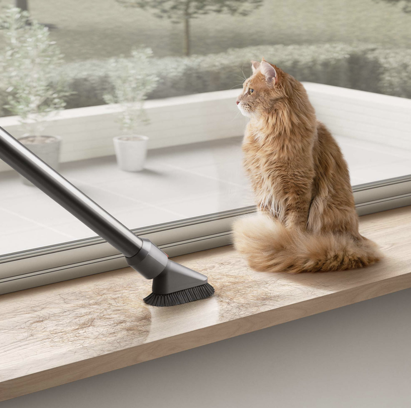 Dyson V10 Animal+ Cordless Stick Vacuum - Sprayed Nickel/Iron (photo via Best Buy Canada)