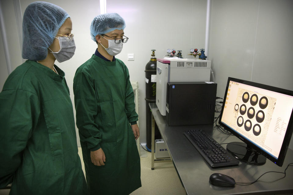 In this Oct. 9, 2018, photo, Zhou Xiaoqin, left, and Qin Jinzhou, an embryologist who were part of the team working with scientist He Jiankui, view a time lapse image of embryos on a computer screen at a lab in Shenzhen in southern China's Guandong province. China's government on Thursday, Nov. 29, 2018, ordered a halt to work by a medical team that claimed to have helped make the world's first gene-edited babies. (AP Photo/Mark Schiefelbein)