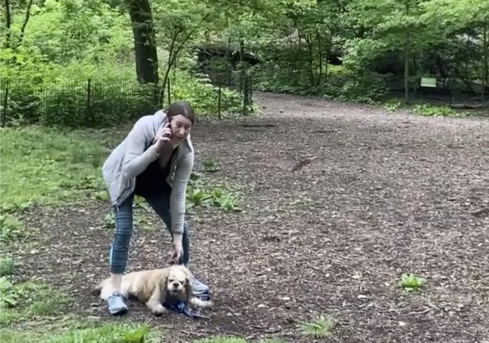 This image made from Monday, May 25, 2020, video provided by Christian Cooper shows Amy Cooper with her dog calling police at Central Park in New York. A video of a verbal dispute between Amy Cooper, walking her dog off a leash and Christian Cooper, a black man bird watching in Central Park, is sparking accusations of racism. (Christian Cooper via AP)