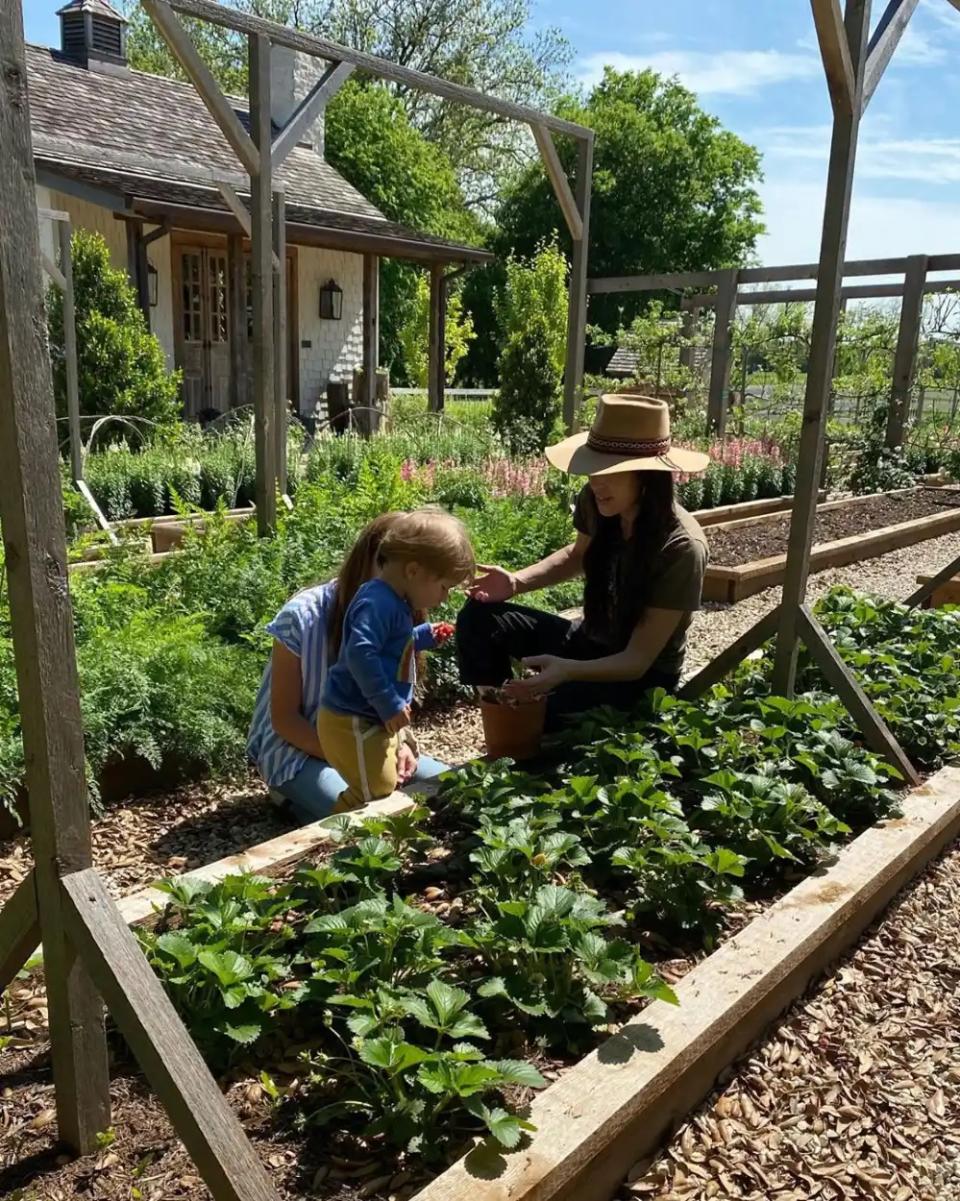 gaines family gardening