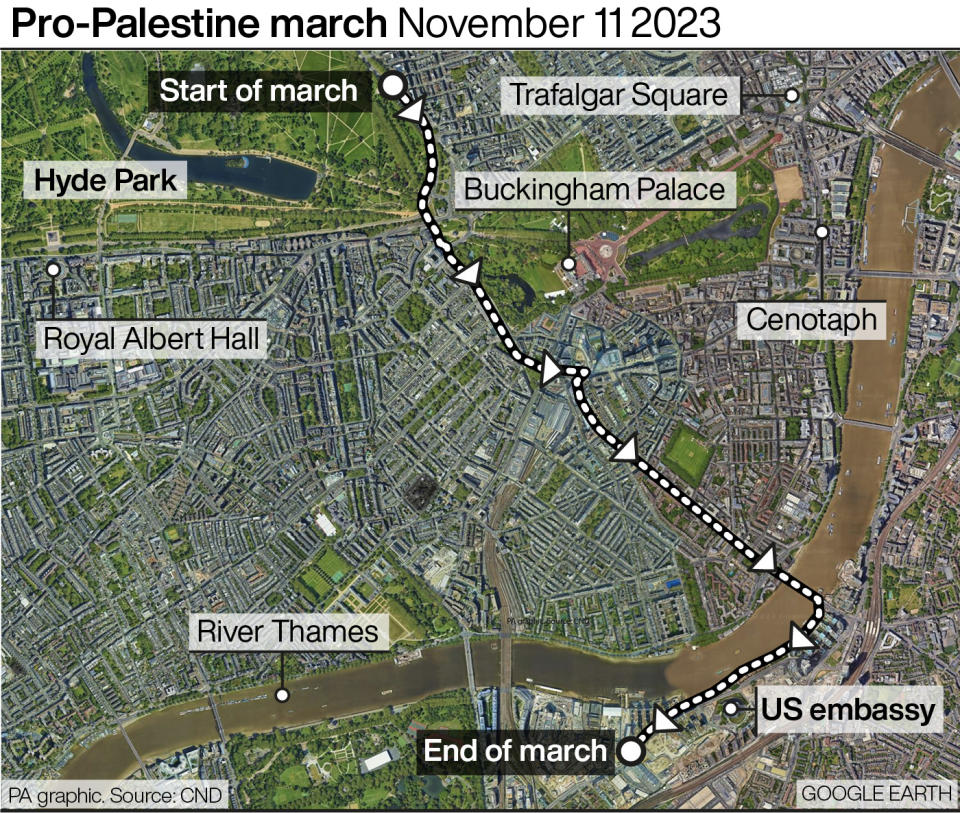 Pro-Palestine march November 11 2023. (PA)