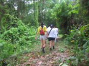 Trudging through secondary rainforest to get to the coral rubble area at Pulau Semakau. (Yahoo! Singapore/ Karen Vera)