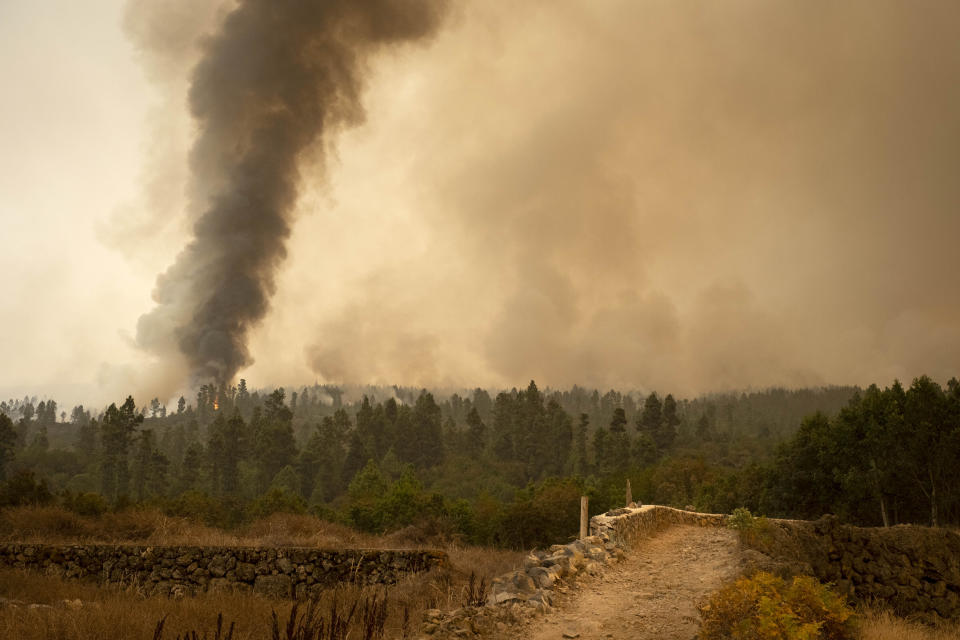 Fire advances through the forest in La Orotava in Tenerife, Canary Islands, Spain on Saturday, Aug. 19, 2023. Firefighters have battled through the night to try to bring under control the worst wildfire in decades on the Spanish Canary Island of Tenerife, a major tourist destination. The fire in the north of the island started Tuesday night and has forced the evacuation or confinement of nearly 8,000 people. Regional officials say Friday's efforts will be crucial in containing the fire. (AP Photo/Arturo Rodriguez)