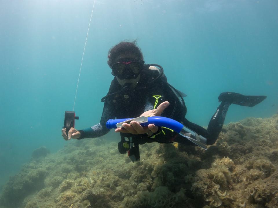 A diver retrieves abandoned snorkelling equipment off Hook Island as part of the program. Source: ReefClean / Reef Check Australia