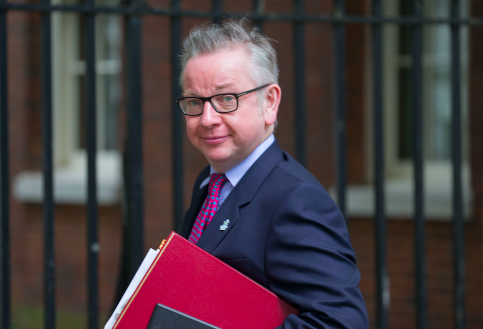 <em>Environment Secretary Michael Gove supports the Lucy’s Law campaign (Rex)</em>