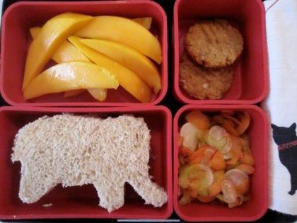 lunchbox