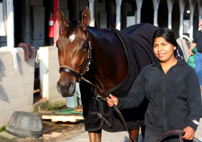 Stables prepare for the Kentucky Derby at Churchill Downs