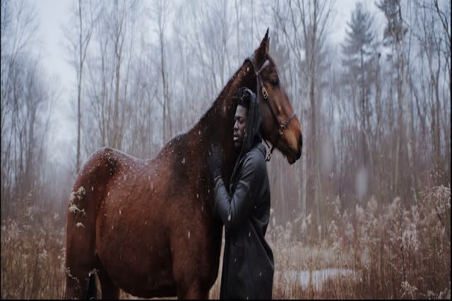 Aromanticism  Moses Sumney