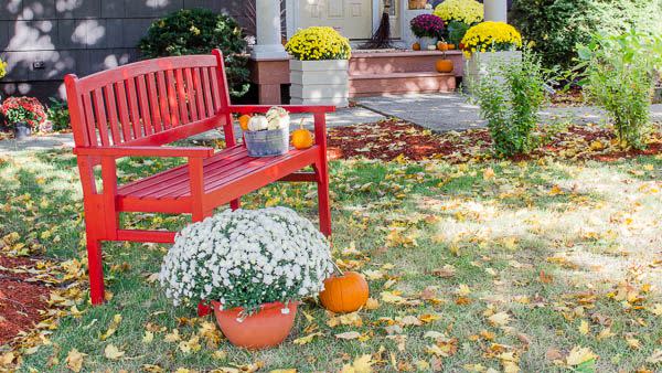 Plant, Window, House, Home, Building, Garden, Door, Real estate, Fixture, Flowerpot, 