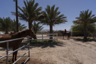 Horse trainer Alejandro Luna rides a horse past date palm trees at Rancho El Refugio in Twentynine Palms, Calif., Tuesday, June 11, 2024. (AP Photo/Jae C. Hong)