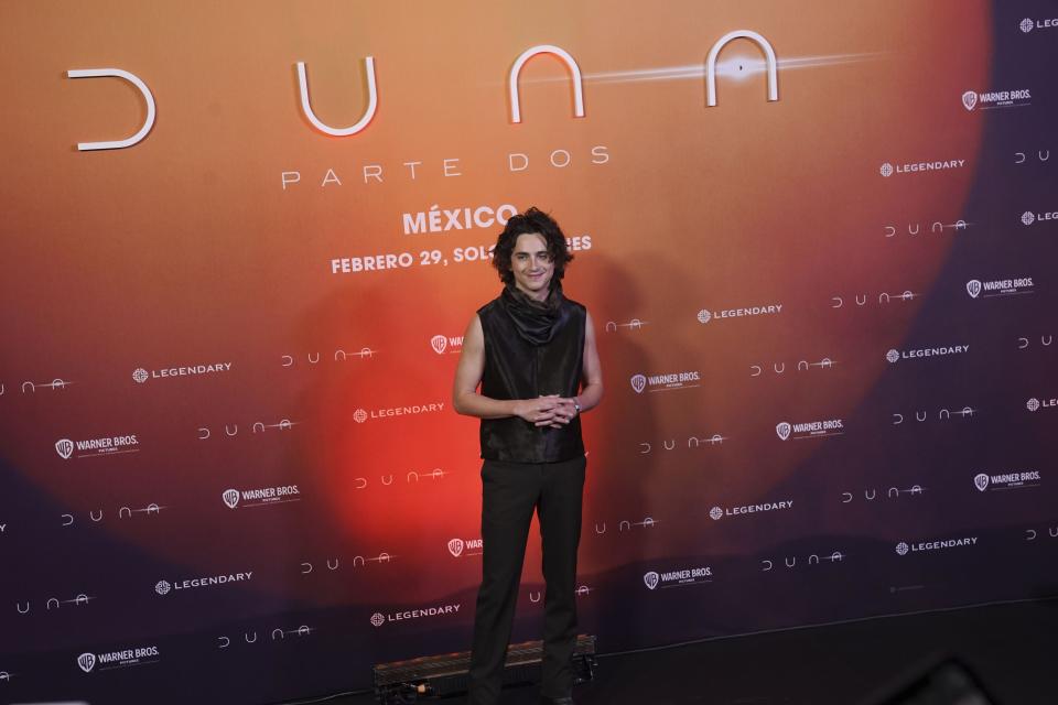 Timothee Chalamet posa en una sesión fotográfica para promover la película "Dune: Part Two" en la Ciudad de México el lunes 5 de febrero de 2024. (Foto AP/Marco Ugarte)