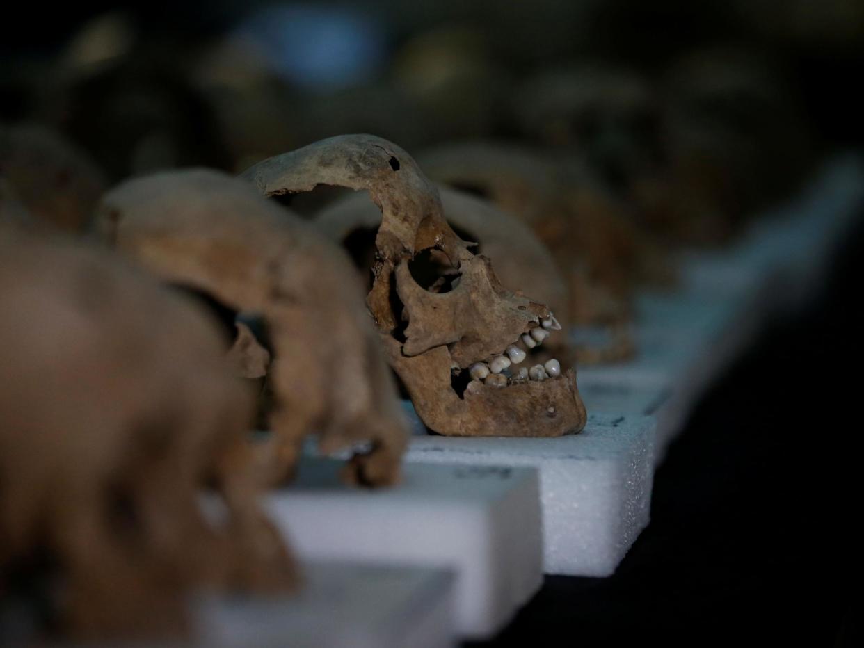 Scientists analysed DNA extracted from the teeth of skeletons in a cemetery in Mexico: Henry Romero/Reuters