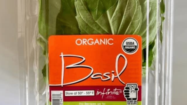 A container of basil