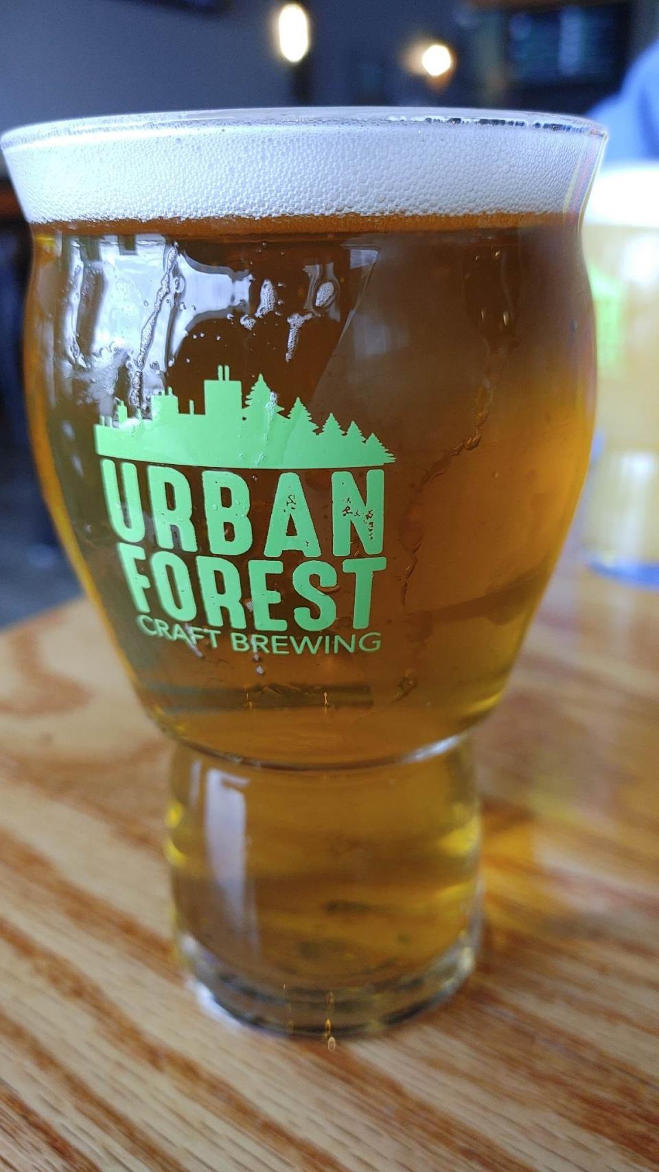 A glass of beer is seen at Urban Forest Craft Brewing, 6551 E. Riverside Blvd., Suite 112, in Rockford.