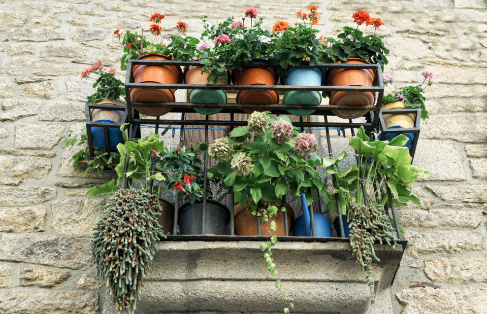 Solange die Blumenkästen sicher am Balkon hängen, ist alles in Ordnung. (Symbolbild: Getty Images)