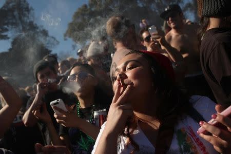 People smoke marijuana joints at 4:20 p.m. as thousands of marijuana advocates gathered at Golden Gate Park in San Francisco, California in this file photo dated April 20, 2012. REUTERS/Robert Galbraith