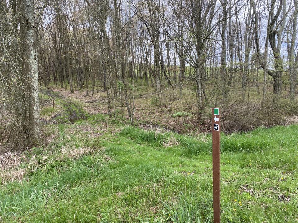 An equestrian trail through the woods at Whitacre Greer Park in Rose Township.