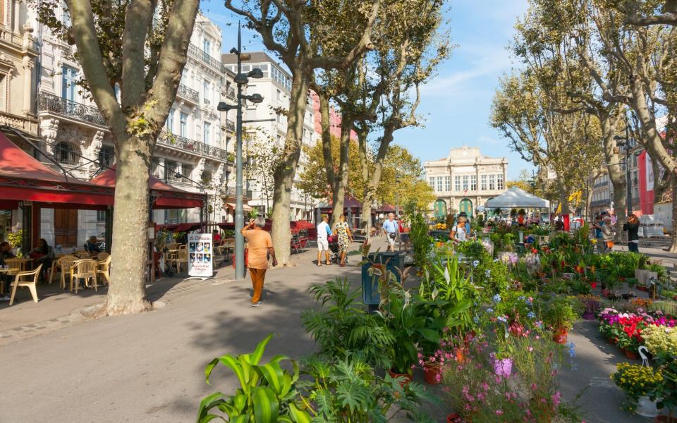 Allees Paul Riquet on market day - Brian Scantlebury/iStock Editorial