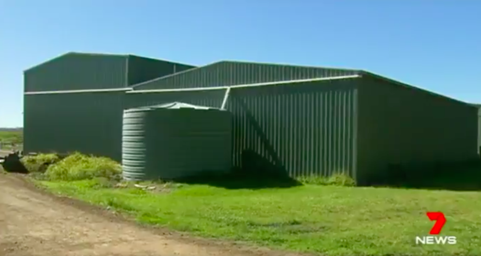 Darcy was crushed inside a shed on the farm. Source: 7News