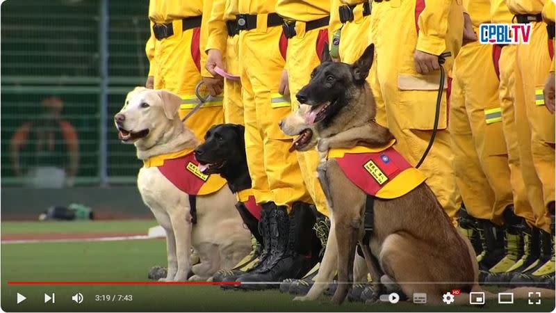 台鋼雄鷹邀請高雄市政府消防局特種搜救隊、搜救犬隊開球。（圖／翻攝自CPBLTV）