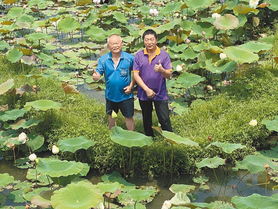 平和社區發展協會理事長盧順源（左）與社區的永遠環保志工許耀煇（右），都盼有新血加入社區工作。（孫英哲攝）