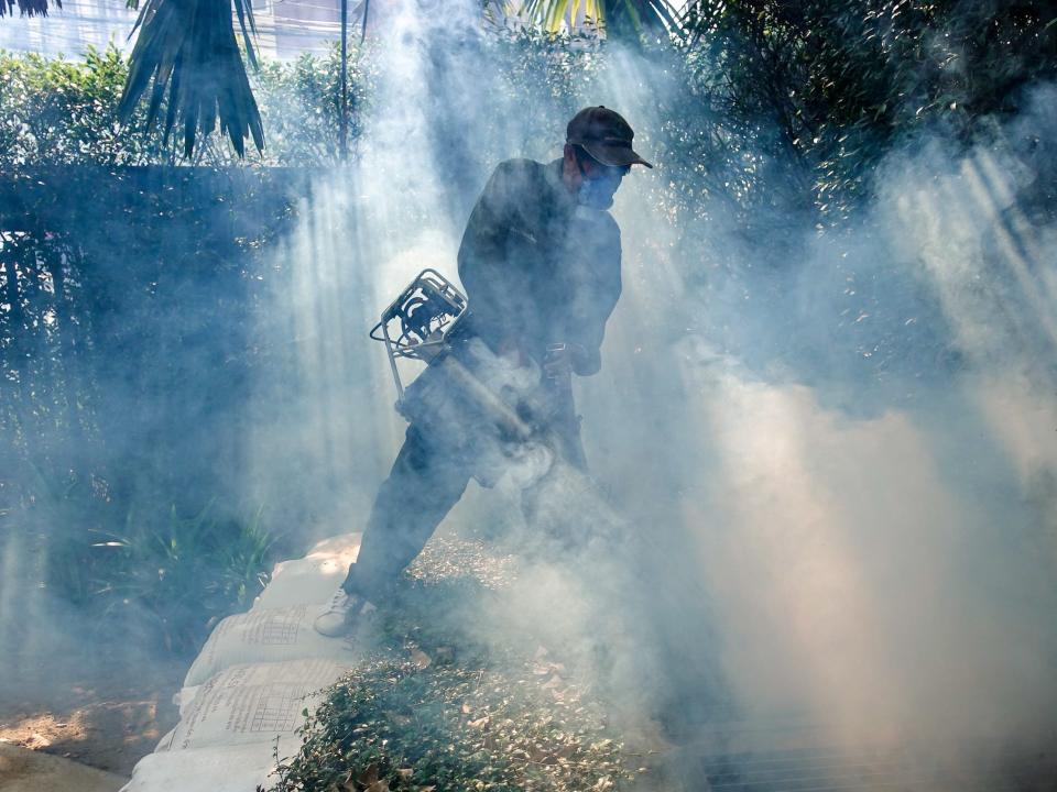 worker in mask shrouded in vapor sprays insecticide under tree canopy