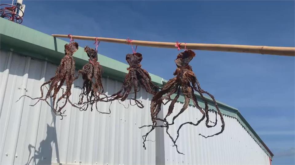 這個風箏竟然有香味　台東章魚乾風箏超獨特