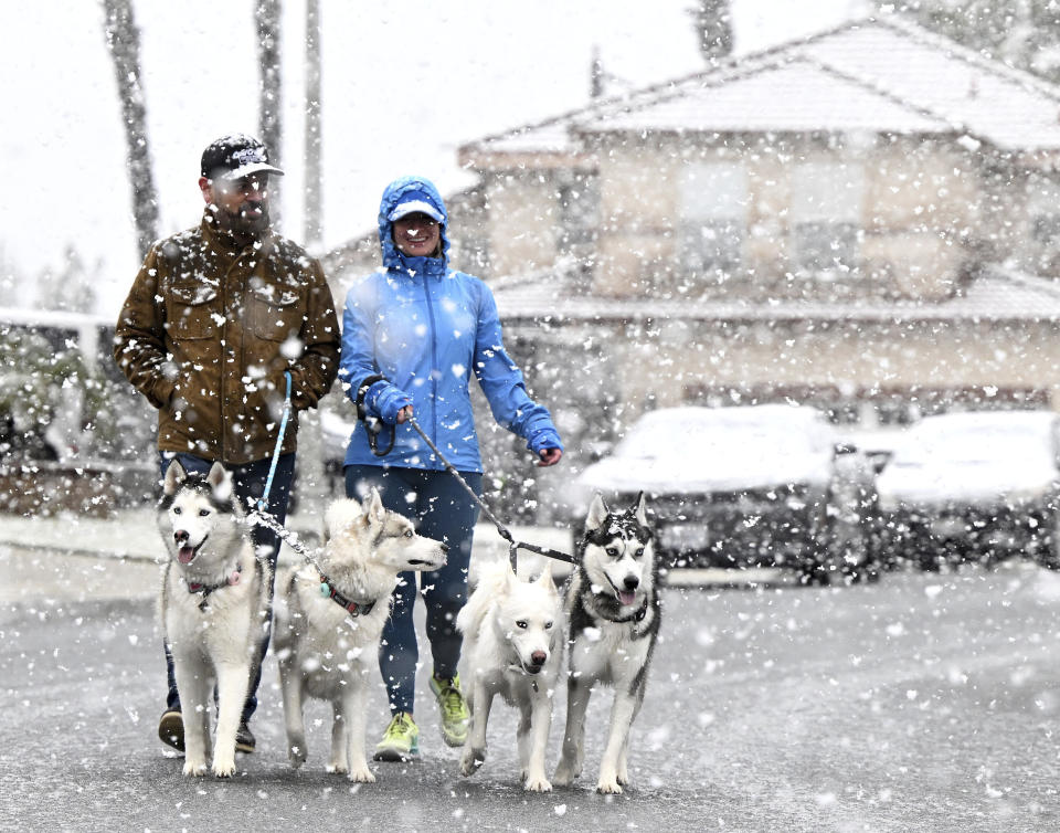 Louis and Erin Palos walk their pack of Siberian huskies through their Hunters Ridge neighborhood in Fontana, Calif., as snow begins to blanket the area at approximately the 1,700 foot level on Saturday, Feb. 25, 2023. (Will Lester/The Orange County Register via AP)
