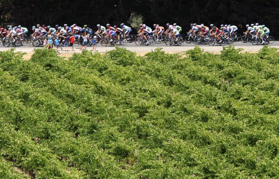<b>MCLAREN VALE, AUSTRALIA </b><br>Cyclists ride past vineyards in McLaren Vale in Adelaide, one of Australia's most famous wine-making regions. The renowned Hardy and d’Arenberg wineries are located here.